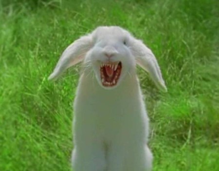 Evil bunny