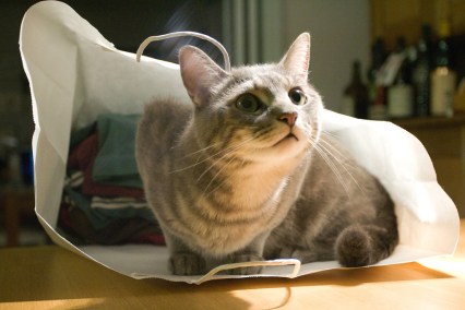 2668729037_f77e0ec2a8_b