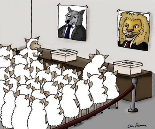 Somin: Choice Is More Democratic Than Political Control | Jay P. Greene ...