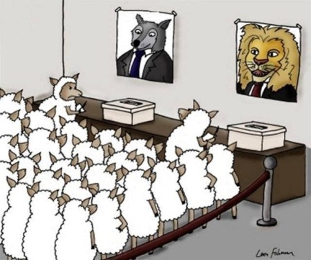 sheep-on-voting-for-a-lion-or-a-wolf-on-election-day